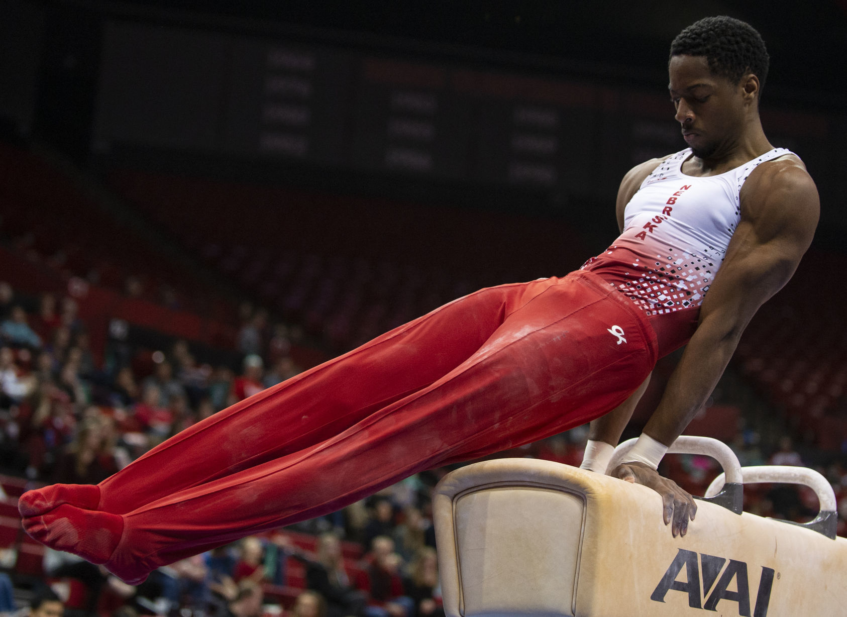 NU men's gymnastics vs. Illinois, Oklahoma, 2.2
